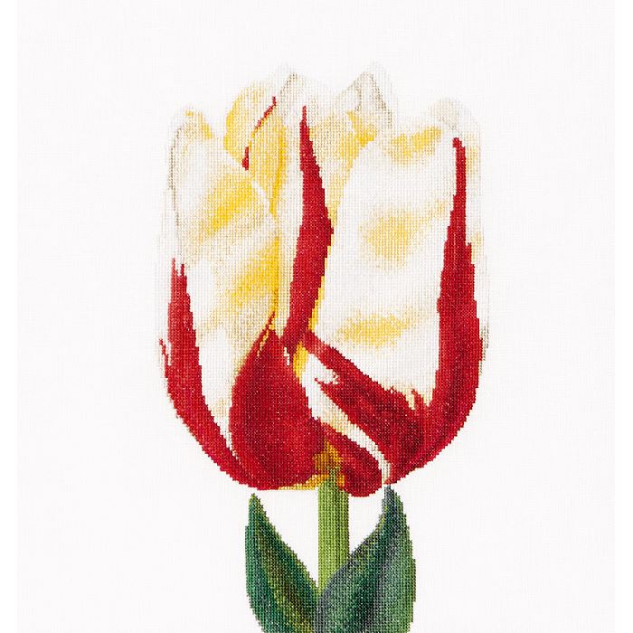 Tulipe Flamed Single - Kit point de croix - Thea Gouverneur