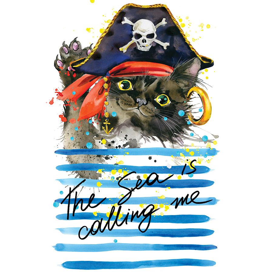 Kit broderie diamant - Chat pirate - Collection d'art