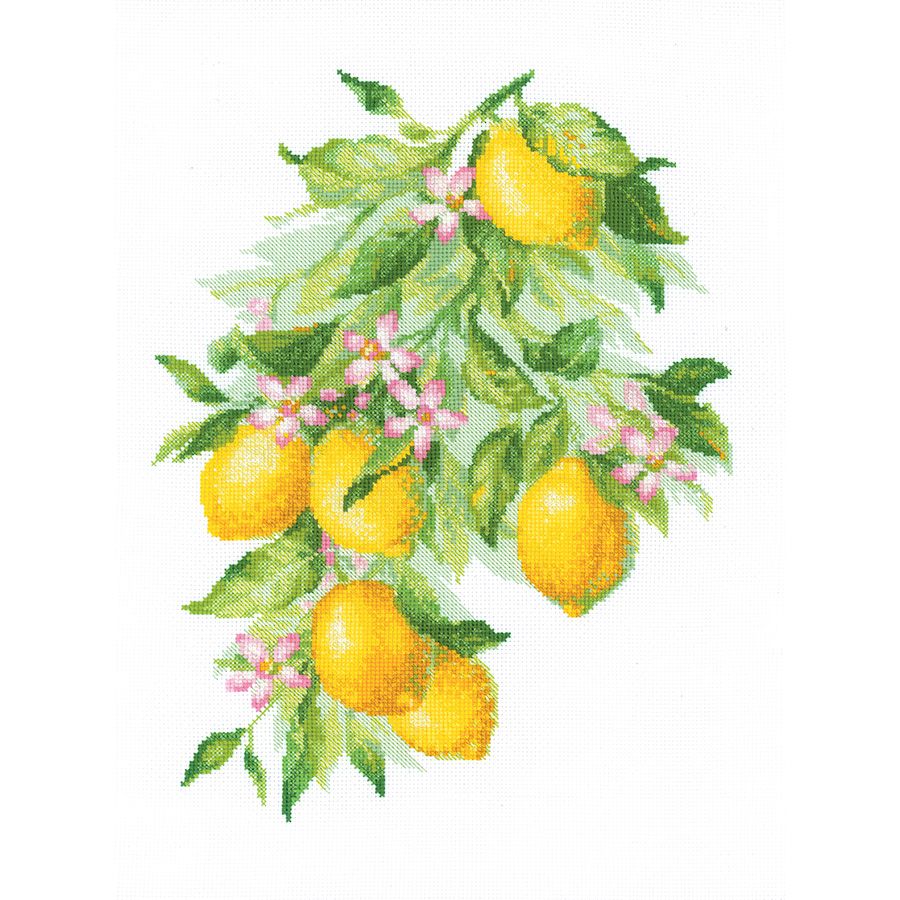 Kit point de croix compté - Citrons lumineux - Riolis