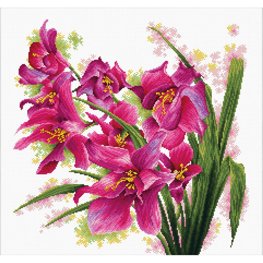 Kit point de croix imprimé - Belles orchidées - Ladybird