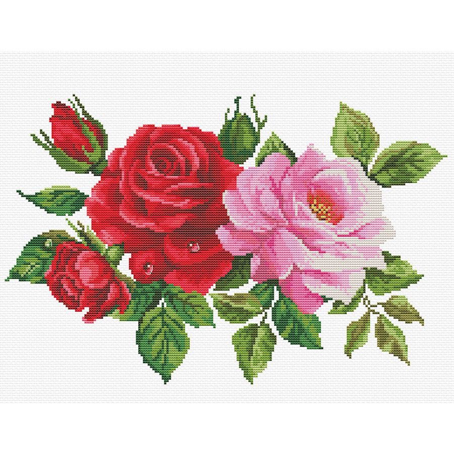 Kit point de croix imprimé - Bouquet de roses - Ladybird