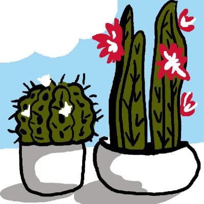 Kit canevas pour enfants Cactus Luc Création