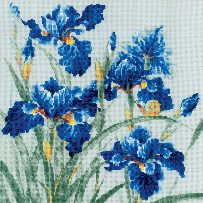 Kit point de croix compté Iris bleus Riolis