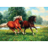 Kit broderie diamant Chevaux galopant Collection d'Art