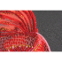 Kit de broderie avec perles motif Poisson rouge de la marque Abris Art, modèle répresentant un dessin de poisson à créer avec des perles