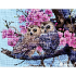 Kit à broder au point de croix motif Chouettes et fleurs de printemps de la marque Merejka, ce kit présente un magnifique tableau à broder d'un couple de chouettes perchées sur un arbre fleuri 