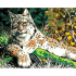 Canevas Pénélope Lynx des forêts Collection d'Art